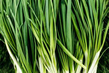 Зелёный лук на зимнем подоконнике: мой проверенный способ