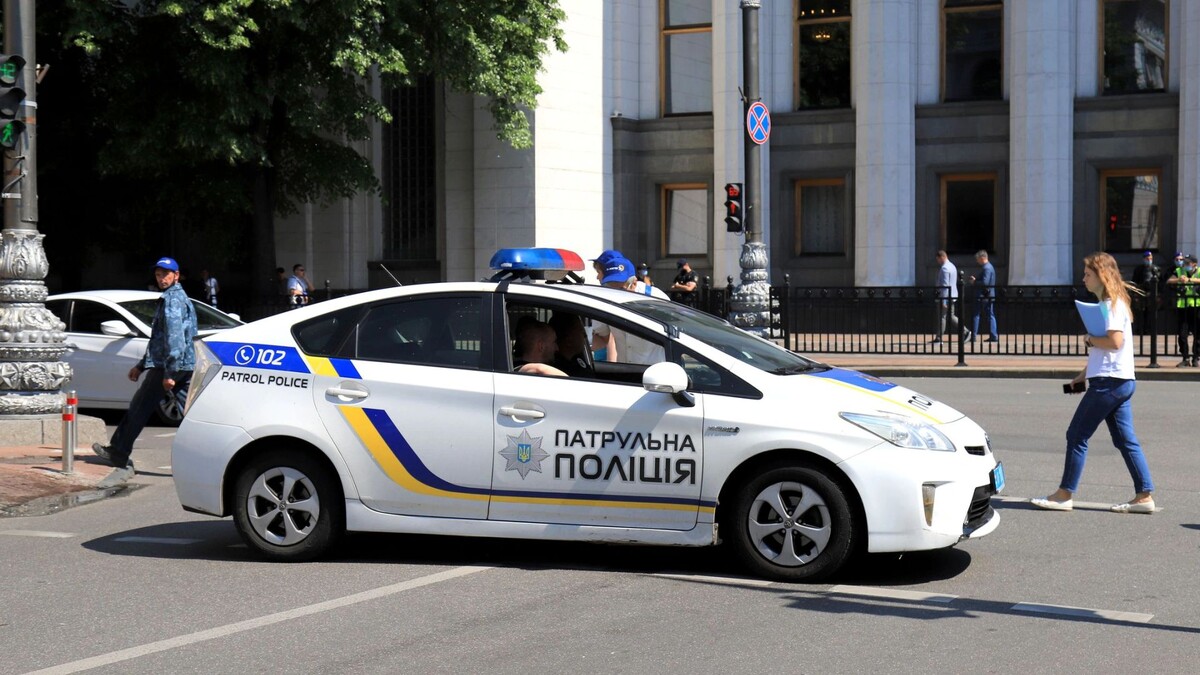    Фото: rospoint/Shutterstock/Fotodom