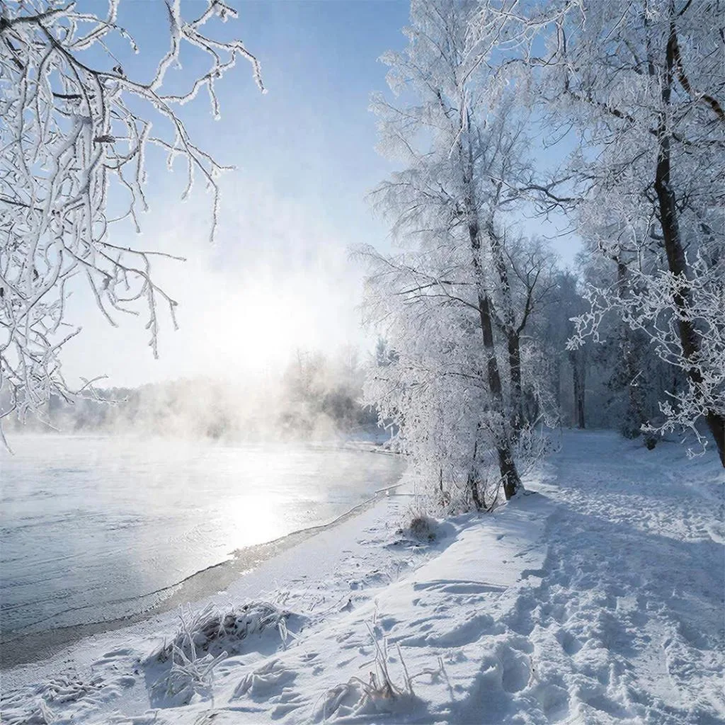 Морозный декабрь по версии Gigachat