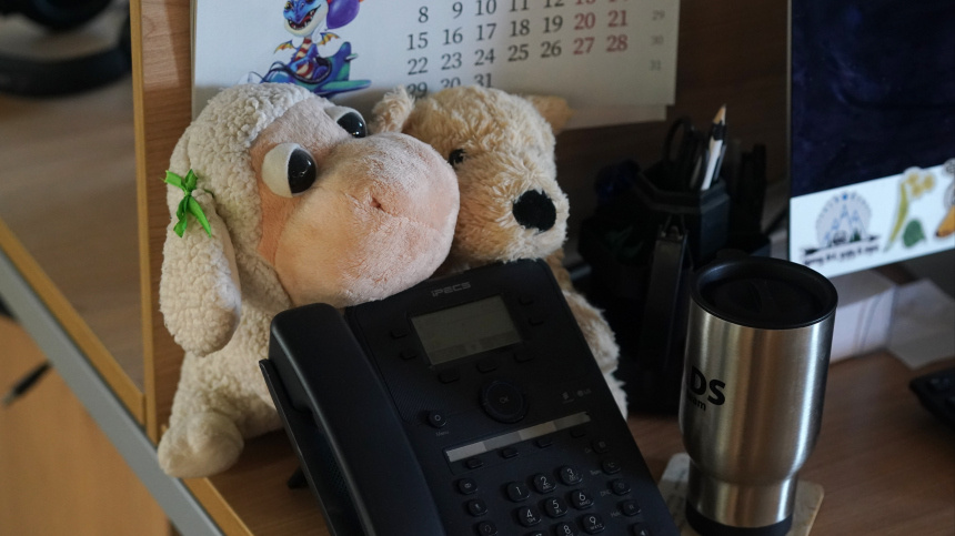    Фото: ИЗВЕСТИЯ/Эдуард Корниенко