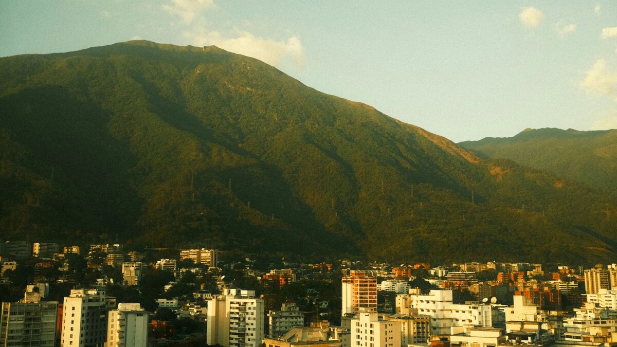    Фото: Eduardo Juhyun Kim/Unsplash