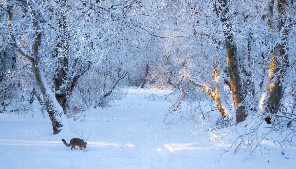 День смены месяца - не требуйте от себя и окружающих слишком многого.