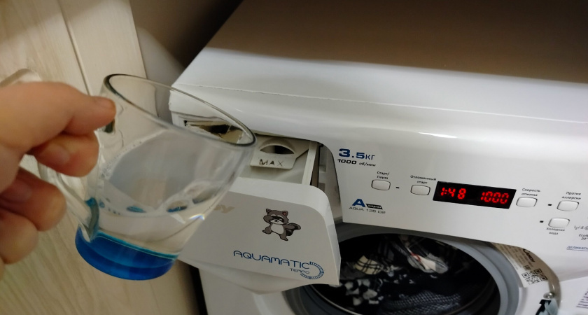    Фото: progorod43.ru