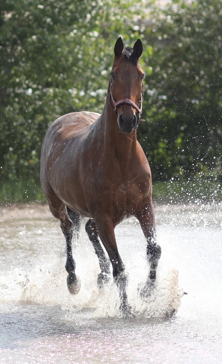    Фернандо. Фото: Из личного архивa/ Валерия Шафигулина