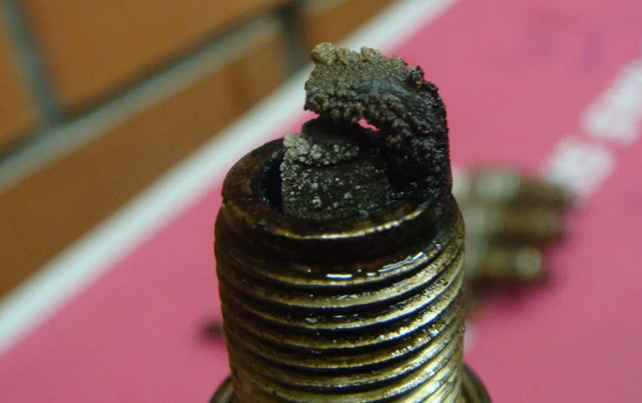 Фото: источник https://clck.ru/3RAfZd