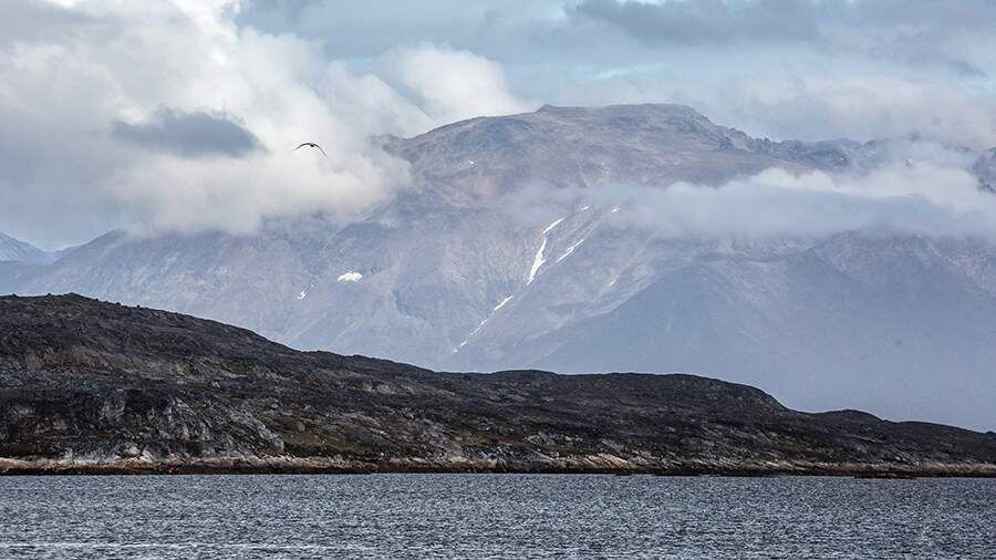    Фото: РИА Новости/Илья Тимин