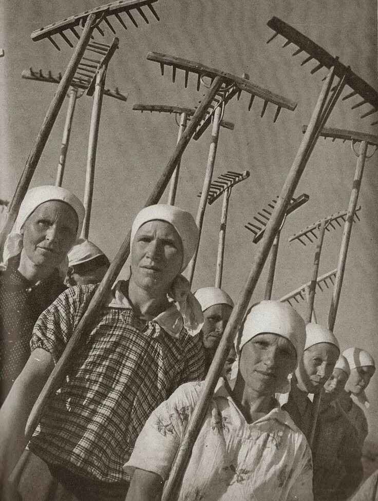 Взято из открытых источников интернета Яндекс.