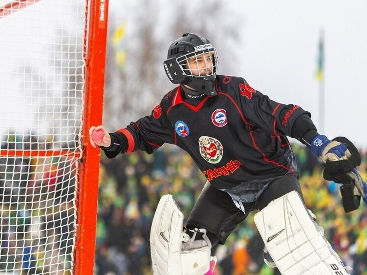     Фото: официальный телеграм-канал ХК "Саяны"