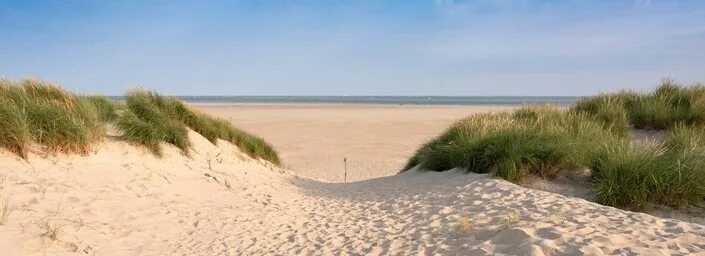 Фото в свободном доступе