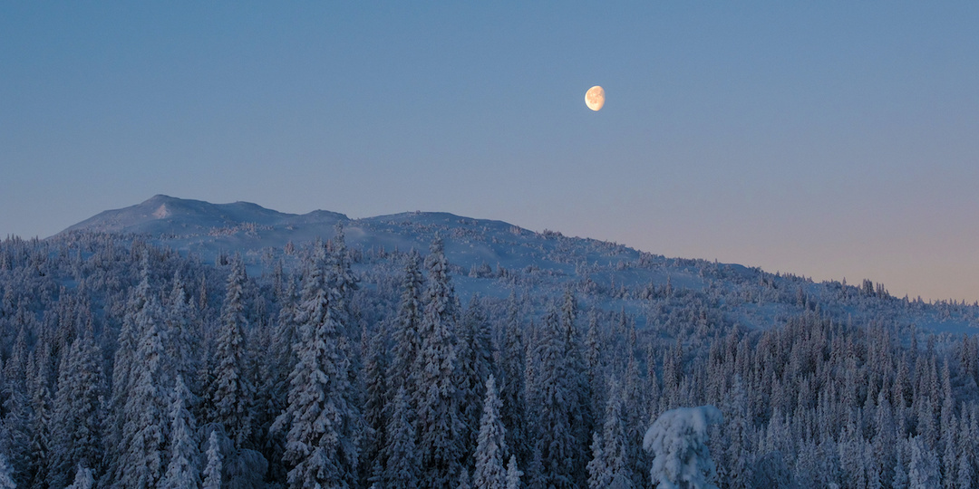Красноярцев ждёт тёплая и снежная Рождественская ночь