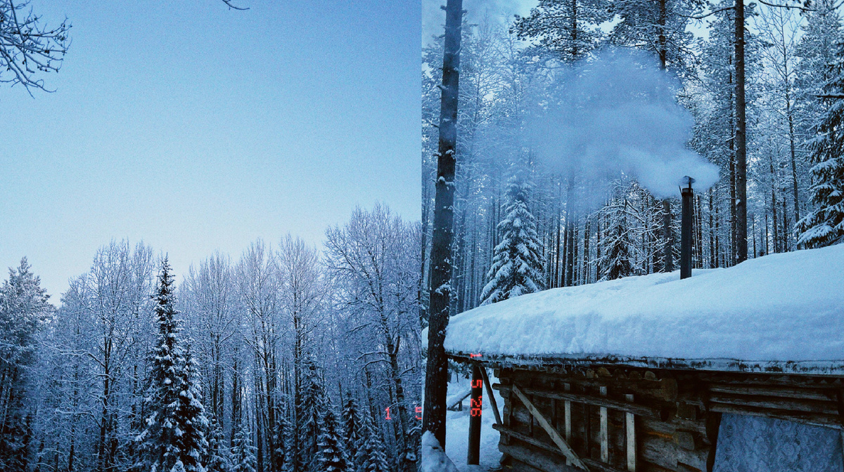 Прогулка по лесу 