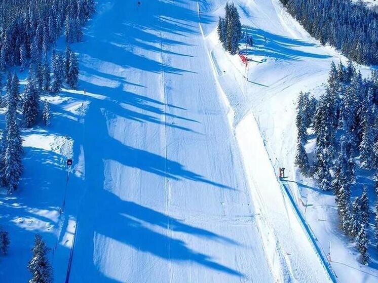     Фото: сгенерировано ИИ