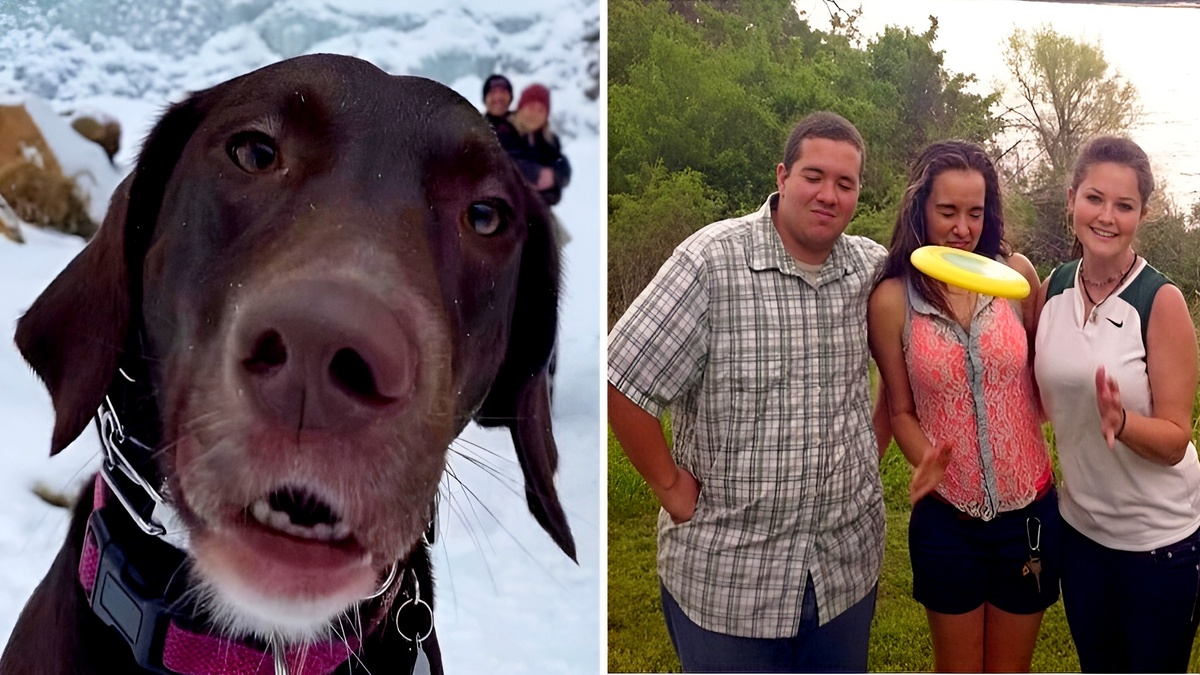 18 смешных моментов, где с первой секунды всё пошло не так