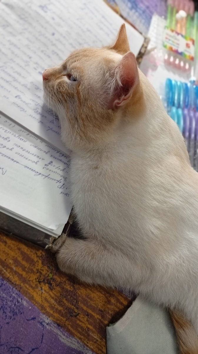 Фото из личного архива