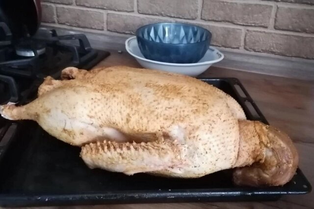    Фото: АиФ-Югра/ Марина Дергунова