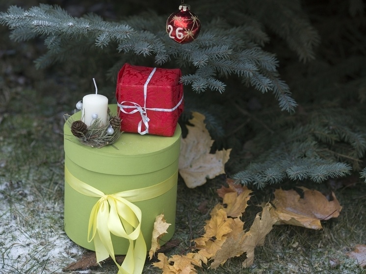     ФОТО: Nikolay Gyngazov/Global Look Press