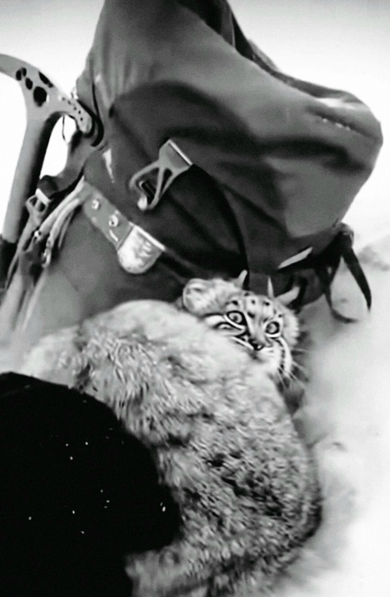 Базовый лагерь Эвереста (Непал, Гималаи)