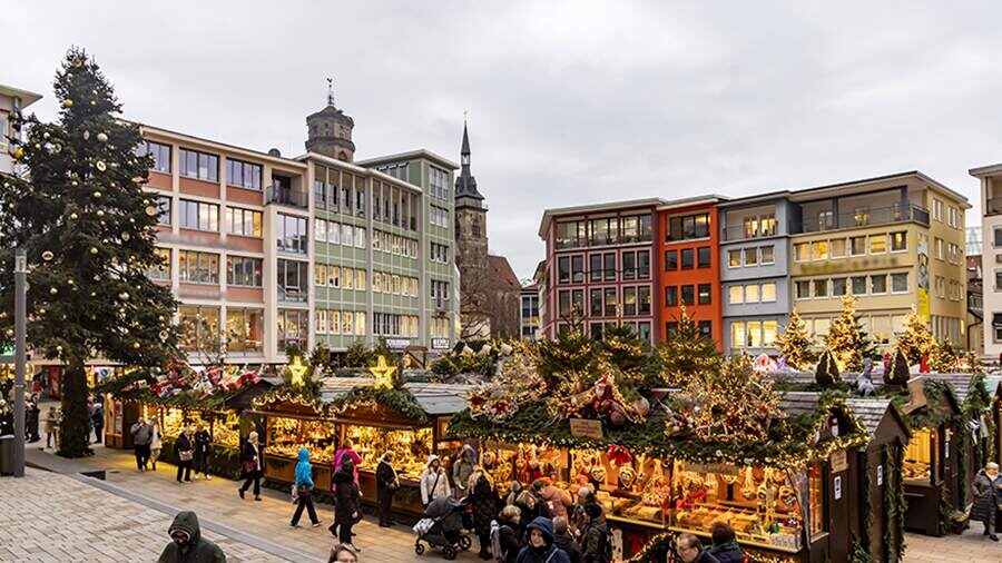    Фото: Global Look Press/IMAGO/Arnulf Hettrich