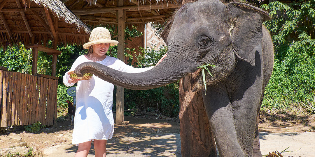 Как в Таиланде разводят туристов на деньги