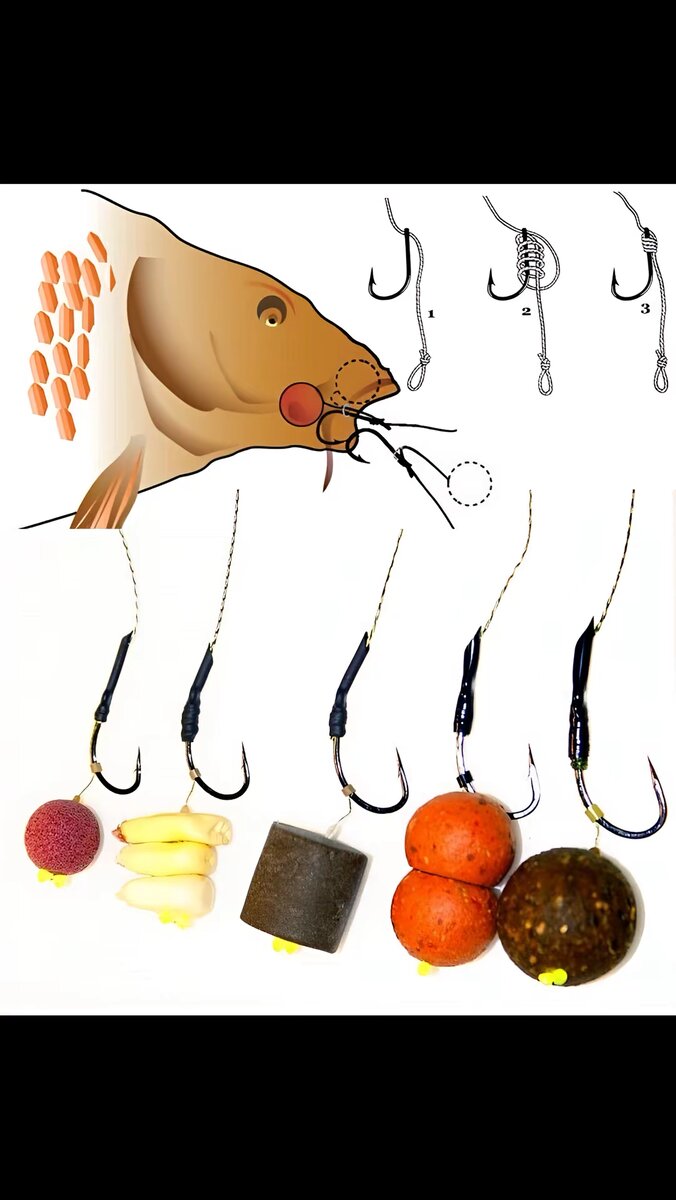 Ловля карпа — это увлекательное занятие, требующее определенных знаний и навыков. Вот несколько советов, которые помогут вам поймать карпа:

Выбор места ловли: Карп предпочитает водоемы с илистым дном, богатой растительностью и наличием укрытий. Ищите места с глубиной от 2 до 4 метров.
Время ловли: Лучшее время для ловли карпа — раннее утро или поздний вечер. В жаркую погоду карп может клевать и днем, но в прохладных местах.
Приманка: Карп — всеядная рыба, поэтому можно использовать различные приманки. Популярные варианты: