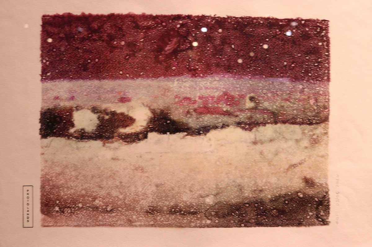    Фото: Максим Начинов, «Областная газета»