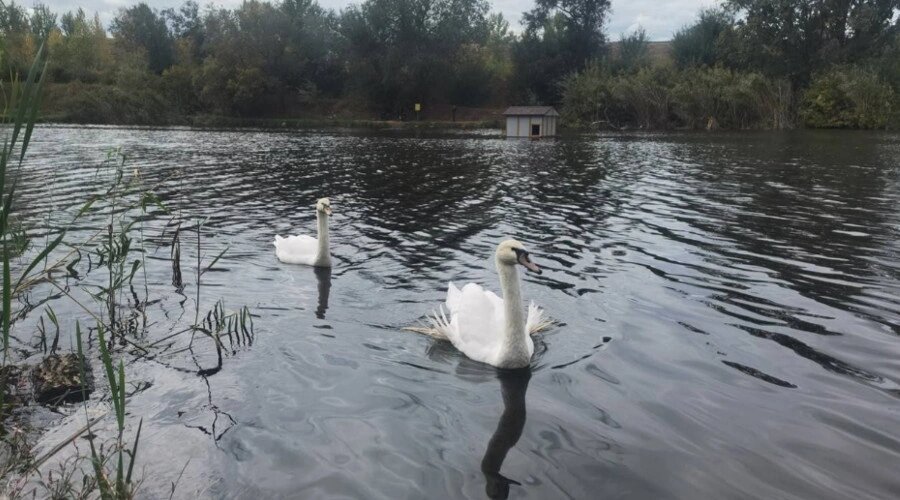    Фото: Дмитрий Иванов