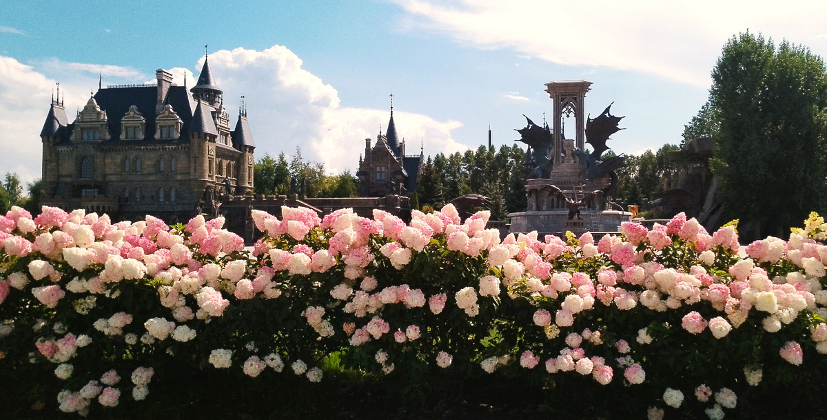 У меня тоже остались неизгладимые впечатления. Он теперь в копилке моих самых ценных воспоминаний