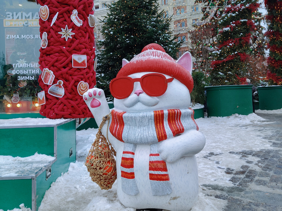 Кот с мандаринами из Миллиона призов на Манежной площади (фото автора)
