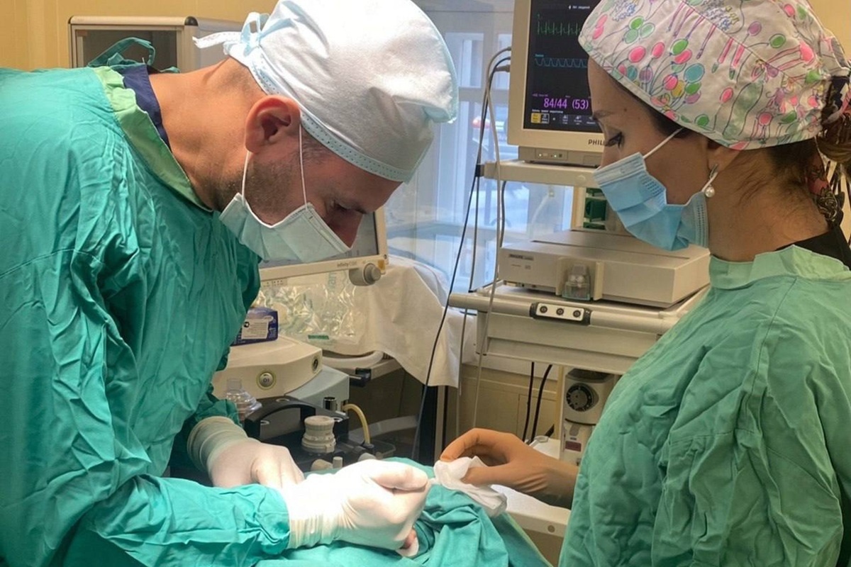    Фото: Клиника доктора Рошаля, источник t.me roshal_clinic медиц, хирург, операция