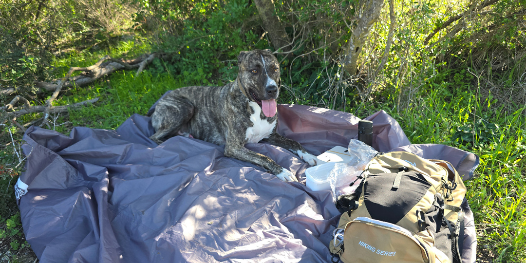 В такую погоду не хочется сидеть дома