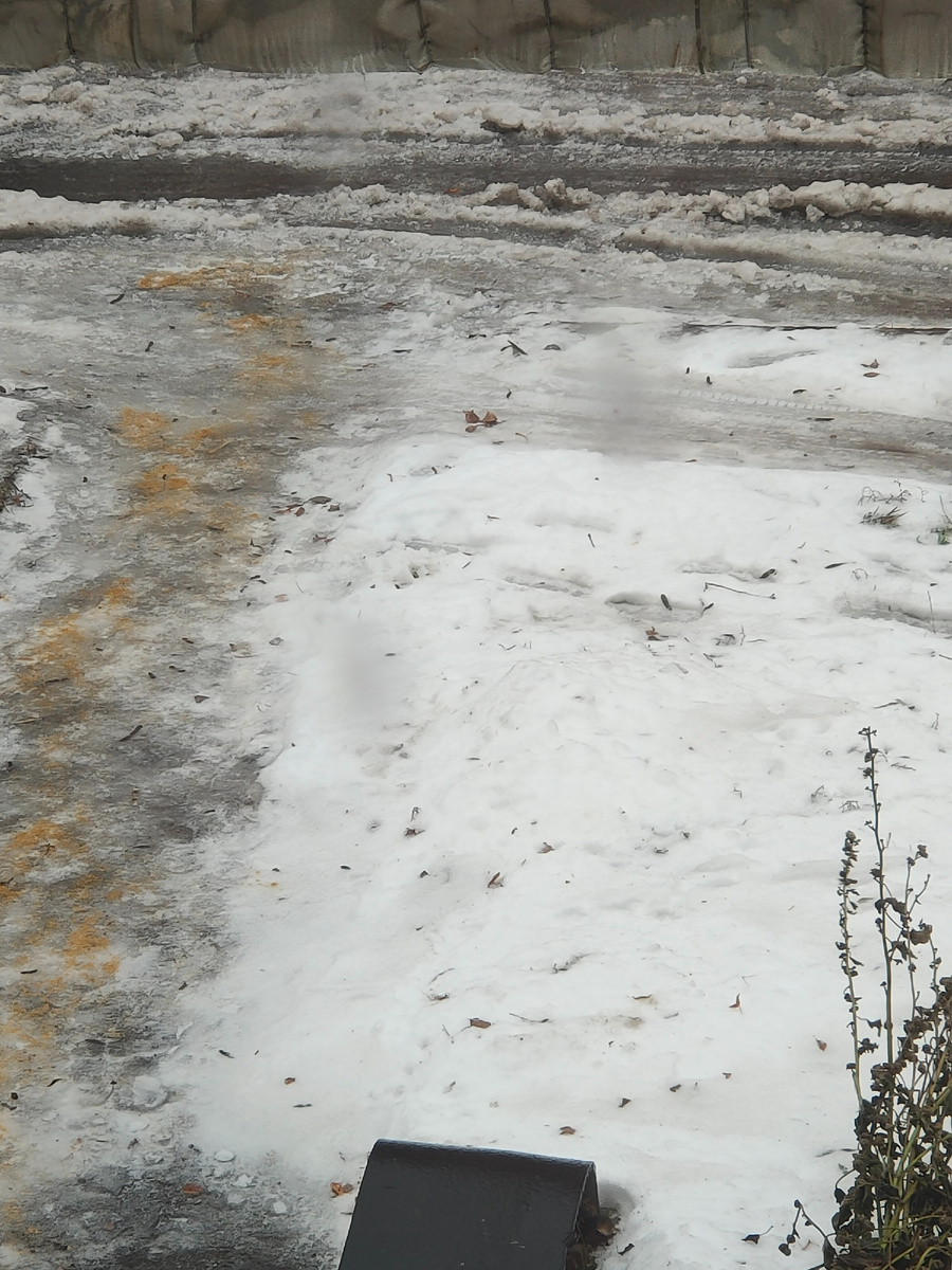 Погода сегодня 