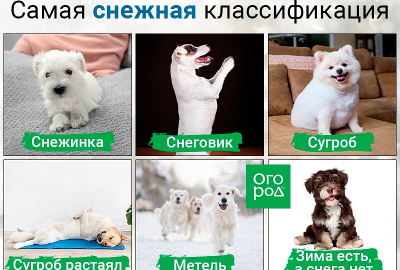 А как у вас за окном со снежным покровом