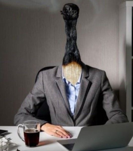 Источник: pinterest.com