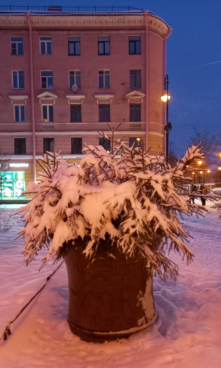 Большой проспект Васильевского острова.