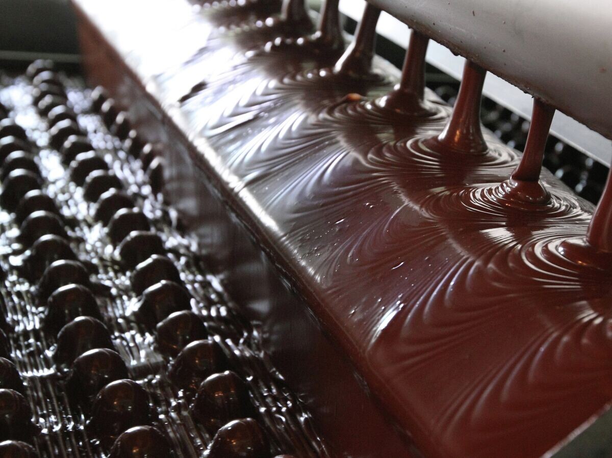    !На линии по выпуску шоколадных конфет© РИА Новости . Михаил Фомичев