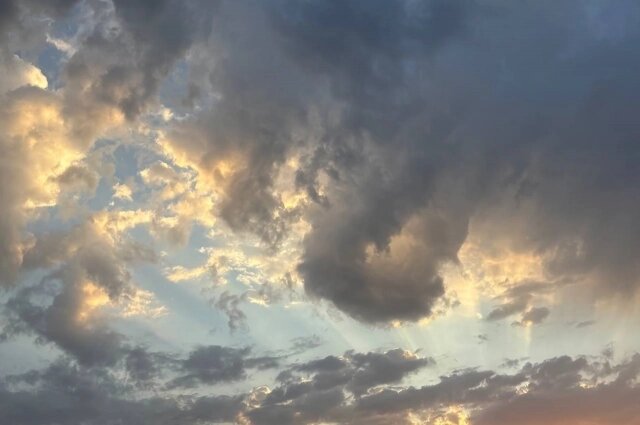    Фото: АиФ/ Юлия Францова