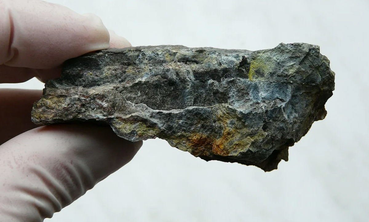 В природе он обычно такой