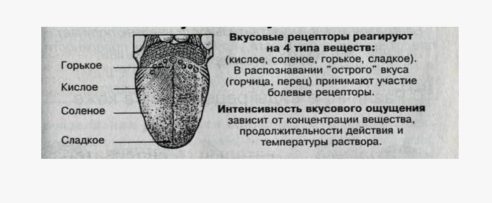 Язык ощущает не вкус