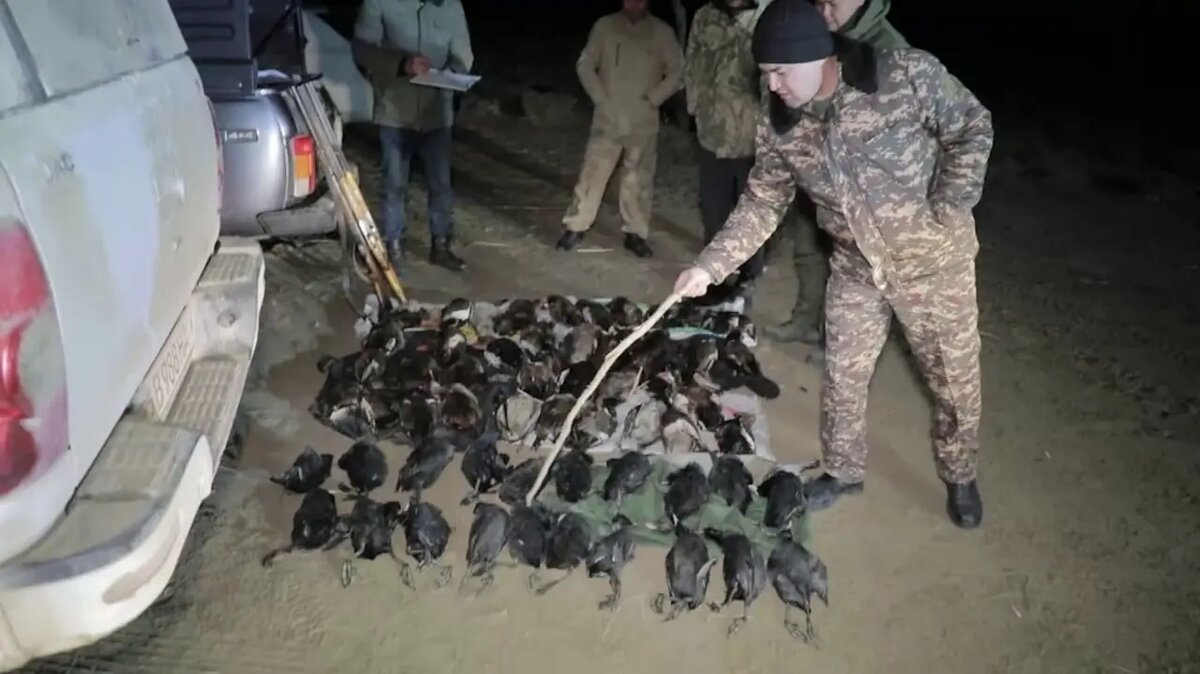 Национальный комитет по экологии и изменению климата