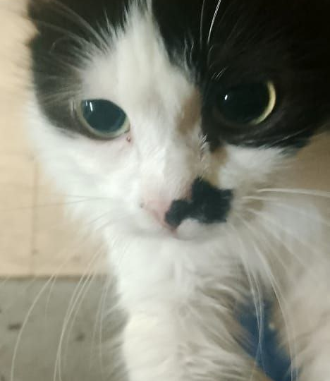 Друзья, ваша поддержка - самое ценное, что есть у нас! 💞