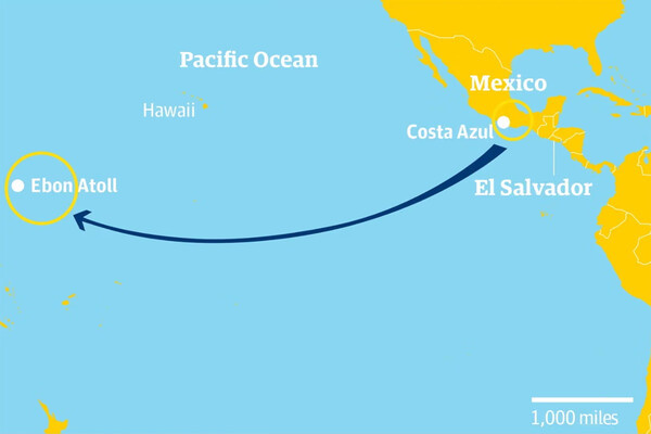    Схема путешествия Альваренги из Мексики на Маршалловы острова / Guardian Graphics