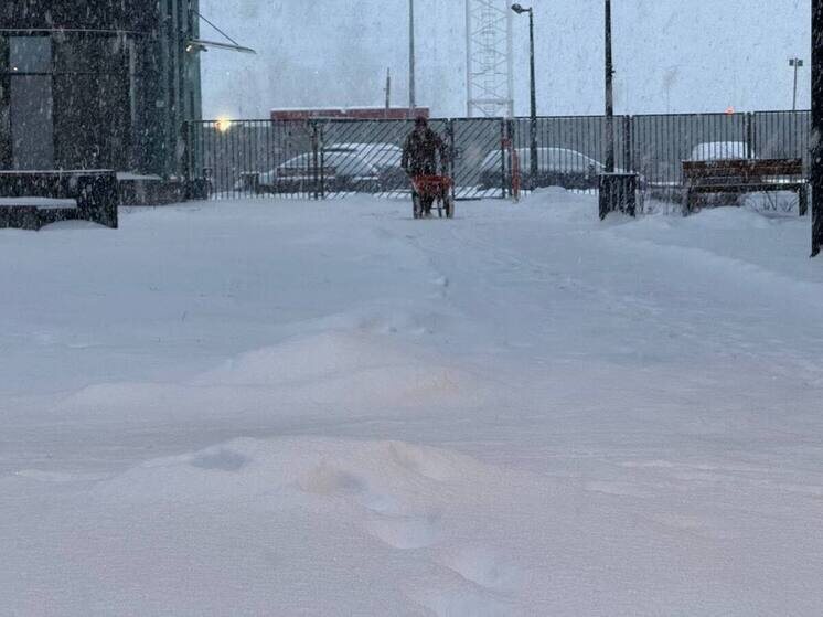     Атмосферное давление будет немного выше нормы — около 768 мм рт. ст. Фото из архива "МК в Питере"