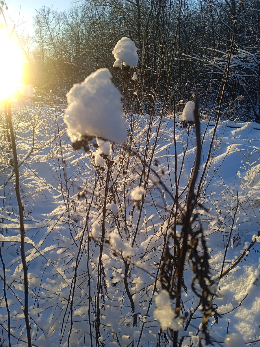 Солнышко,выгляни в окошечко! Фото автора.
