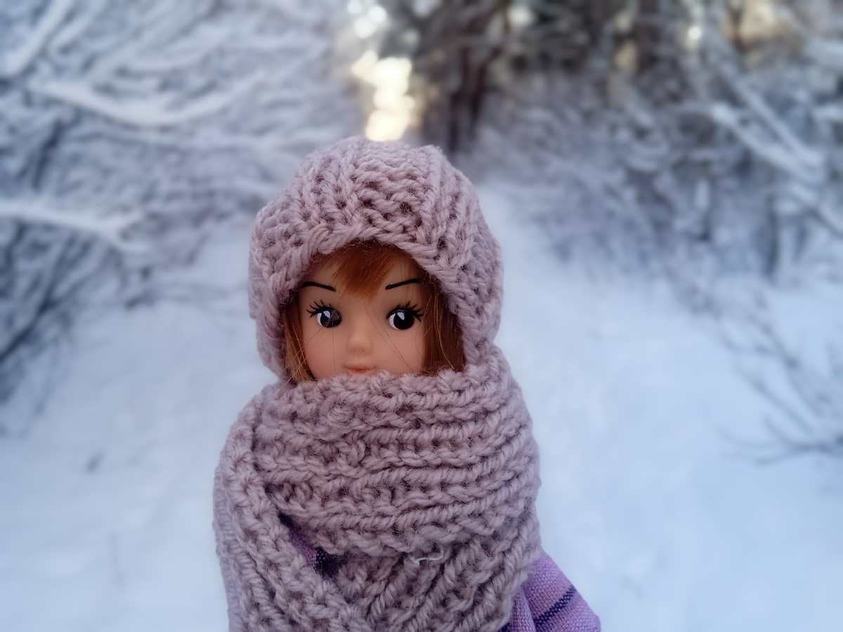 Мори в зимнем лесу. Фото автора.