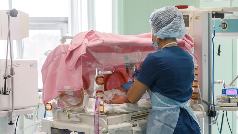      Фото: Дмитрий Ахмадуллин / / ИА «Победа26»