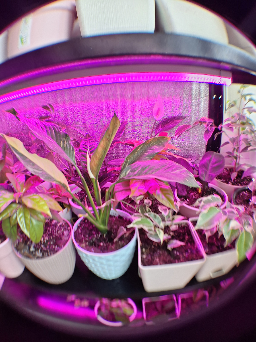 Фото автора.