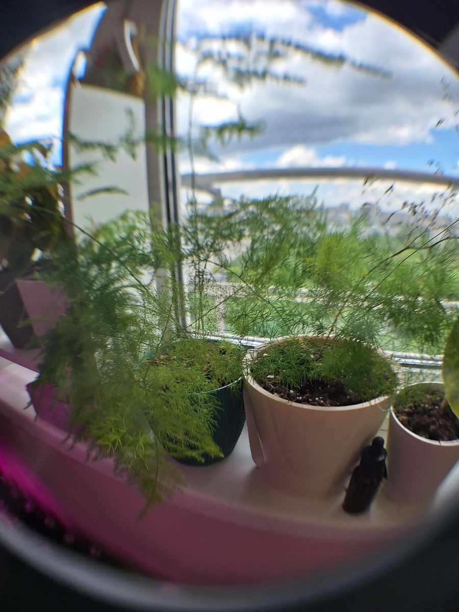 Фото автора.