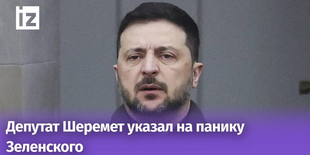 В Госдуме назвали слова Зеленского о конфликте панической атакой