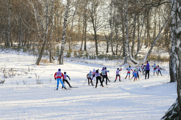 Медики рассказали, в чем польза лыжных прогулок