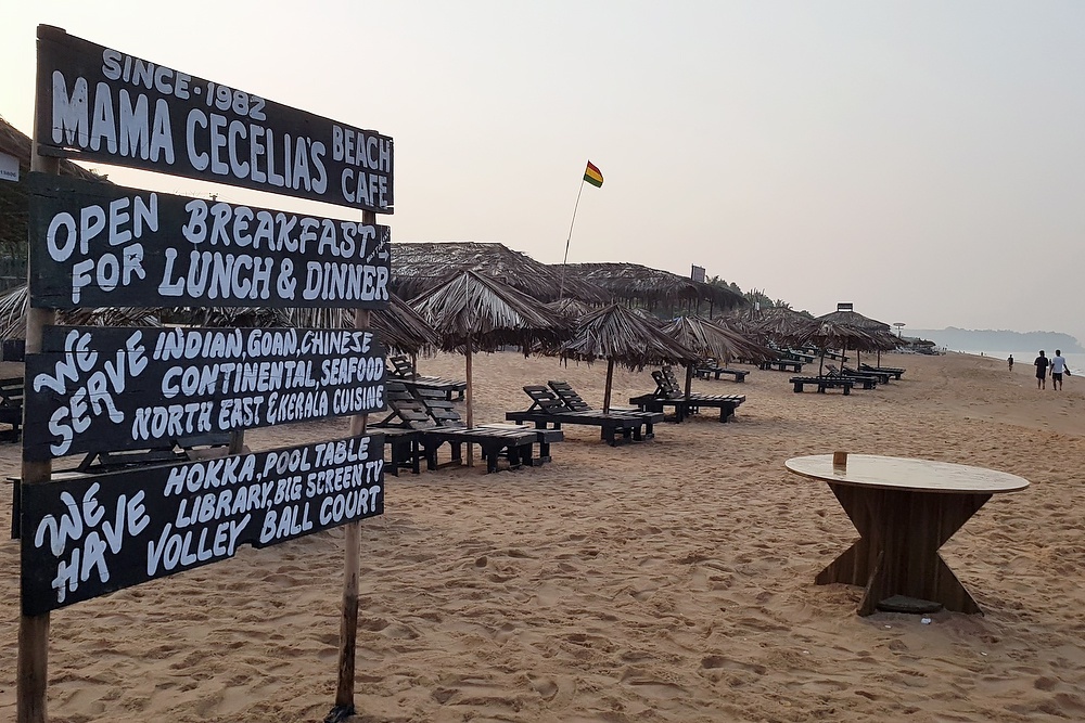    Александр Гасюк